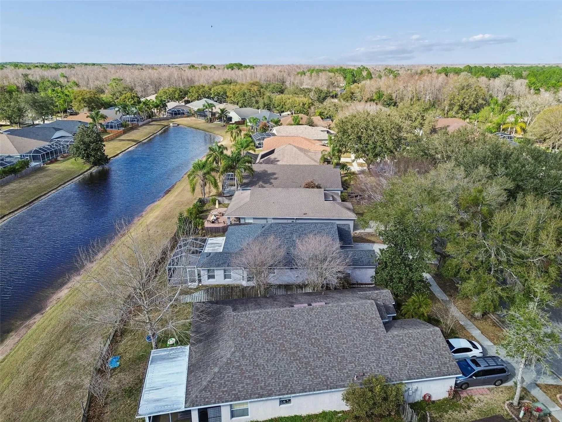 19427 Morden Blush Drive Lutz FL 33558