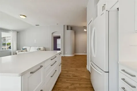 19427 Morden Blush Drive Lutz FL 33558
