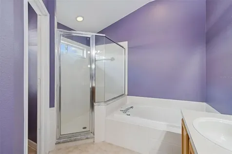 19427 Morden Blush Drive Lutz FL 33558
