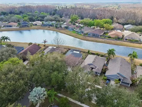 19427 Morden Blush Drive Lutz FL 33558