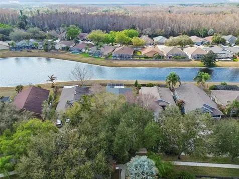 19427 Morden Blush Drive Lutz FL 33558