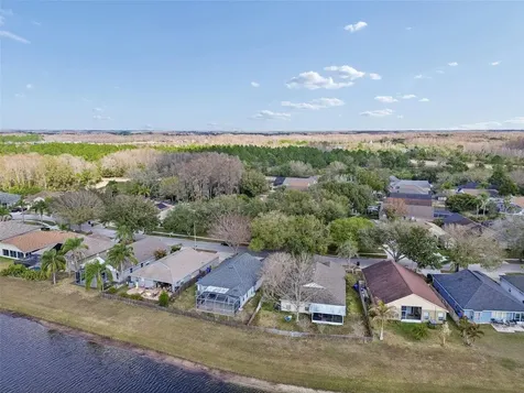 19427 Morden Blush Drive Lutz FL 33558