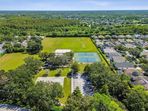 19427 Morden Blush Drive Lutz FL 33558