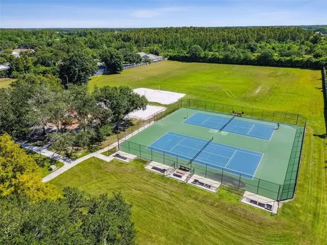 19427 Morden Blush Drive Lutz FL 33558