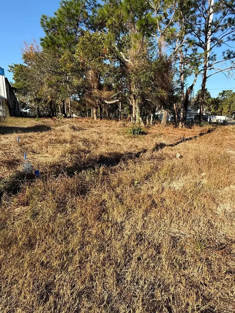 13786 Linden Drive Spring Hill FL 34609