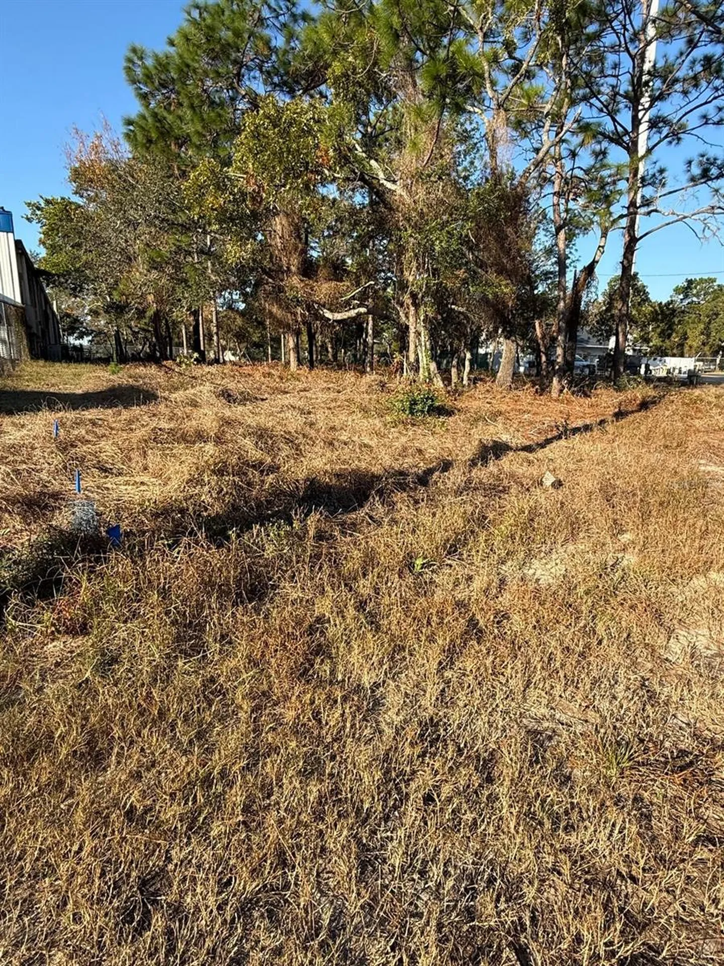 13786 Linden Drive Spring Hill FL 34609