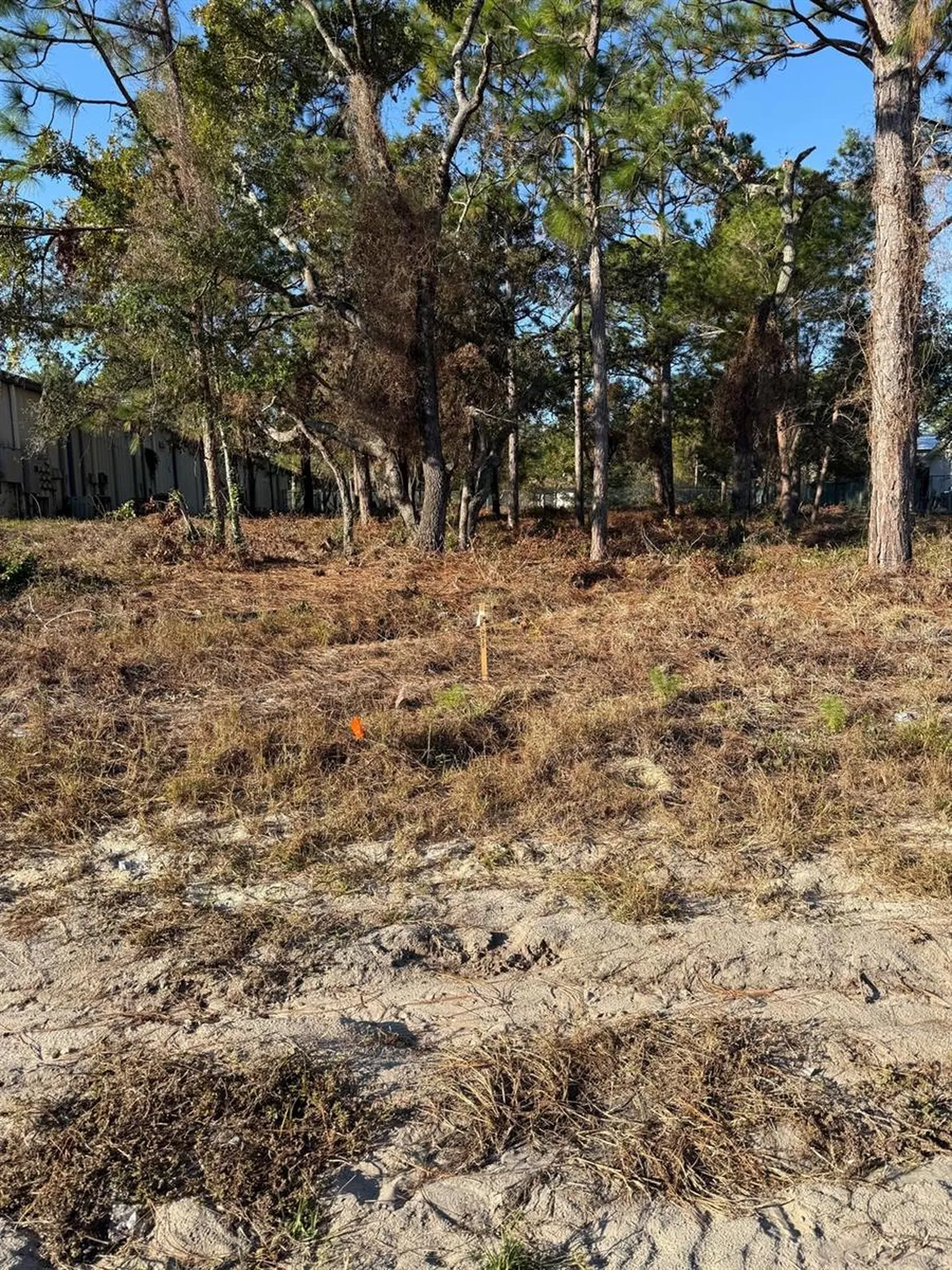 13786 Linden Drive Spring Hill FL 34609