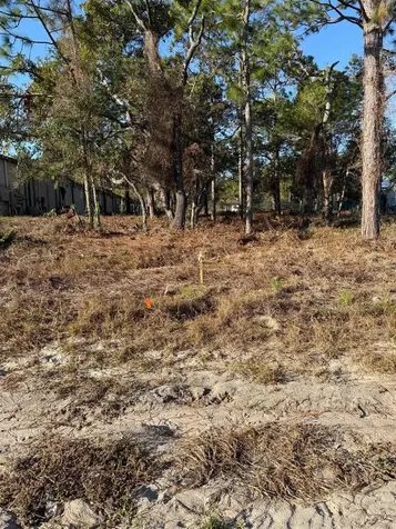 13786 Linden Drive Spring Hill FL 34609