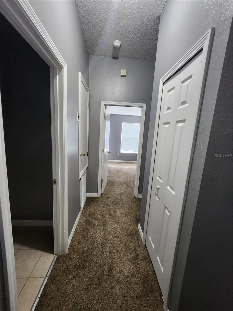 30136 Barnaby Lane Wesley Chapel FL 33543