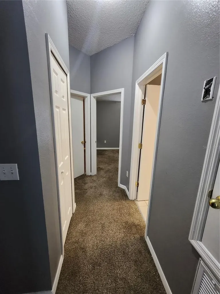 30136 Barnaby Lane Wesley Chapel FL 33543