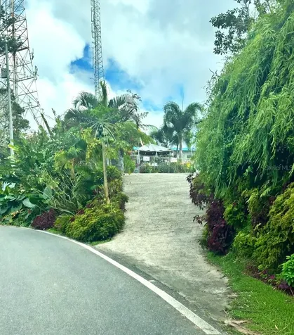 795 Bairoa Aguas Buenas PR 00703