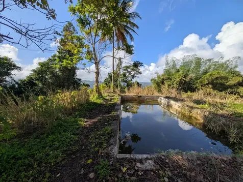 795 Bairoa Aguas Buenas PR 00703
