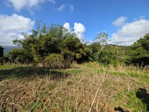 795 Bairoa Aguas Buenas PR 00703
