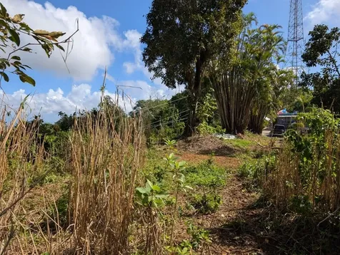 795 Bairoa Aguas Buenas PR 00703