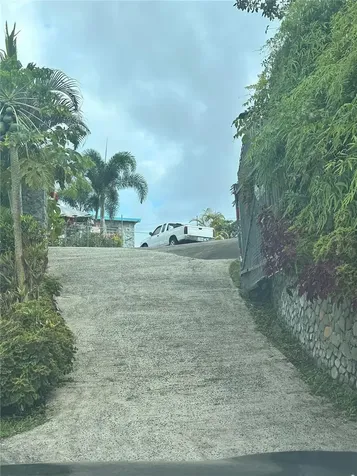 795 Bairoa Aguas Buenas PR 00703