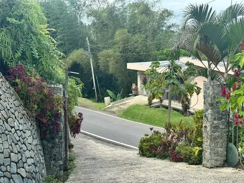 795 Bairoa Aguas Buenas PR 00703