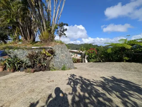 795 Bairoa Aguas Buenas PR 00703