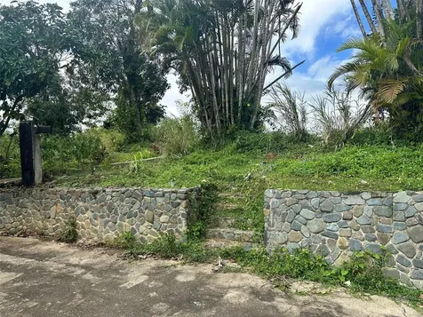 795 Bairoa Aguas Buenas PR 00703