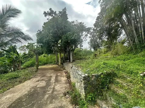 795 Bairoa Aguas Buenas PR 00703