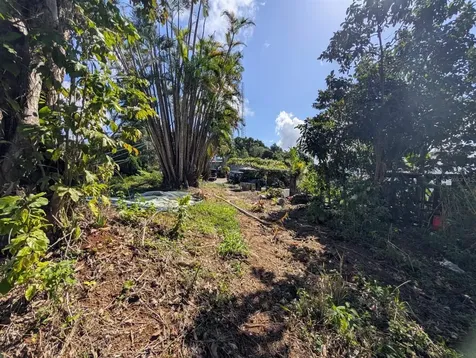 795 Bairoa Aguas Buenas PR 00703