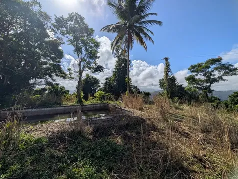 795 Bairoa Aguas Buenas PR 00703