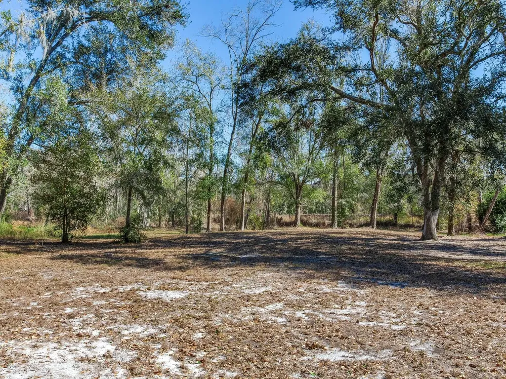 8602 Back Road Plant City FL 33565