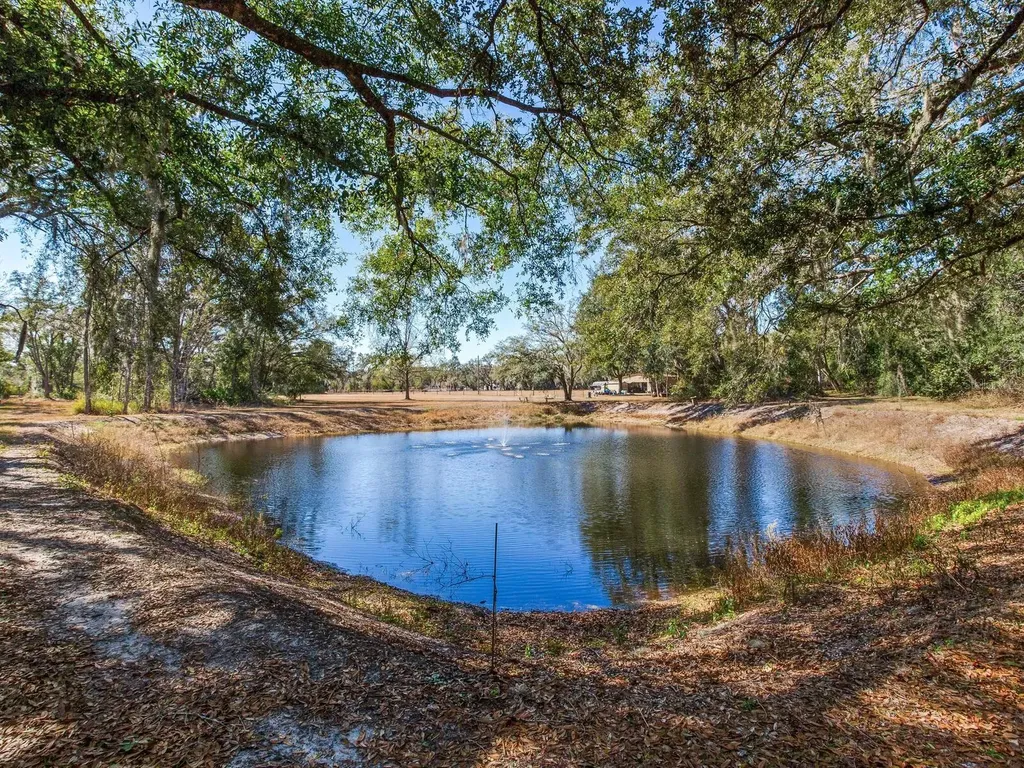 8602 Back Road Plant City FL 33565