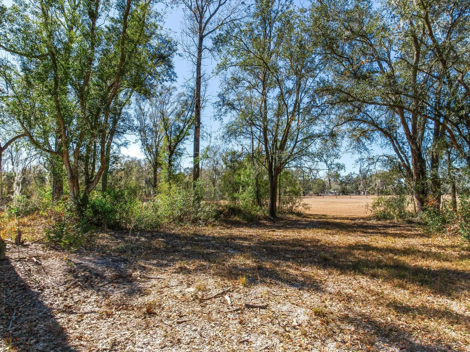 8602 Back Road Plant City FL 33565