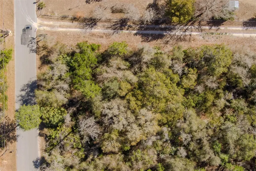 Cochran Road Geneva FL 32732