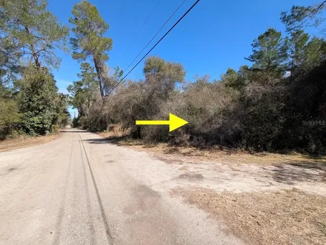 Cochran Road Geneva FL 32732