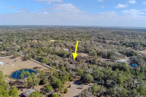Cochran Road Geneva FL 32732