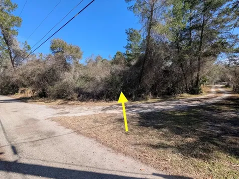 Cochran Road Geneva FL 32732