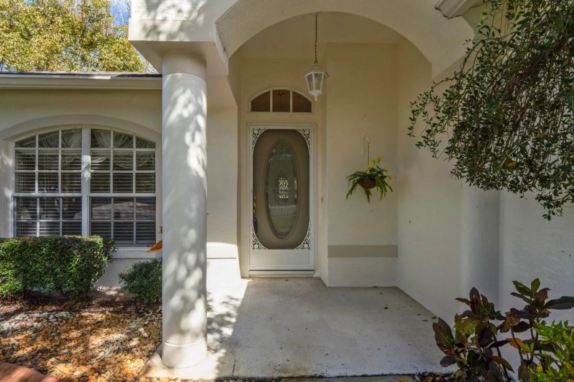 11829 Ivywood Place New Port Richey FL 34654