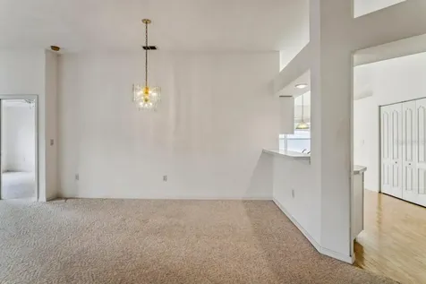 11829 Ivywood Place New Port Richey FL 34654