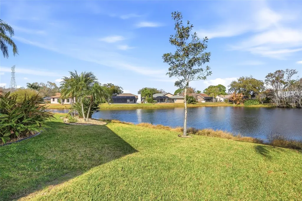 846 Centerwood Drive Tarpon Springs FL 34688