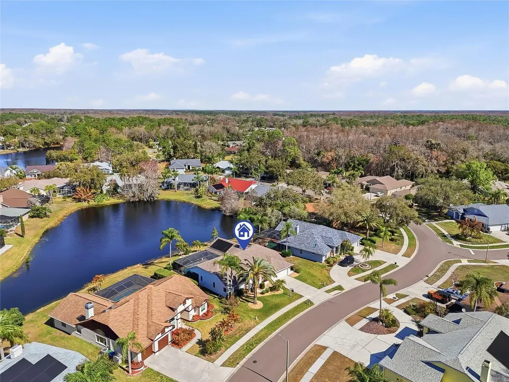 846 Centerwood Drive Tarpon Springs FL 34688
