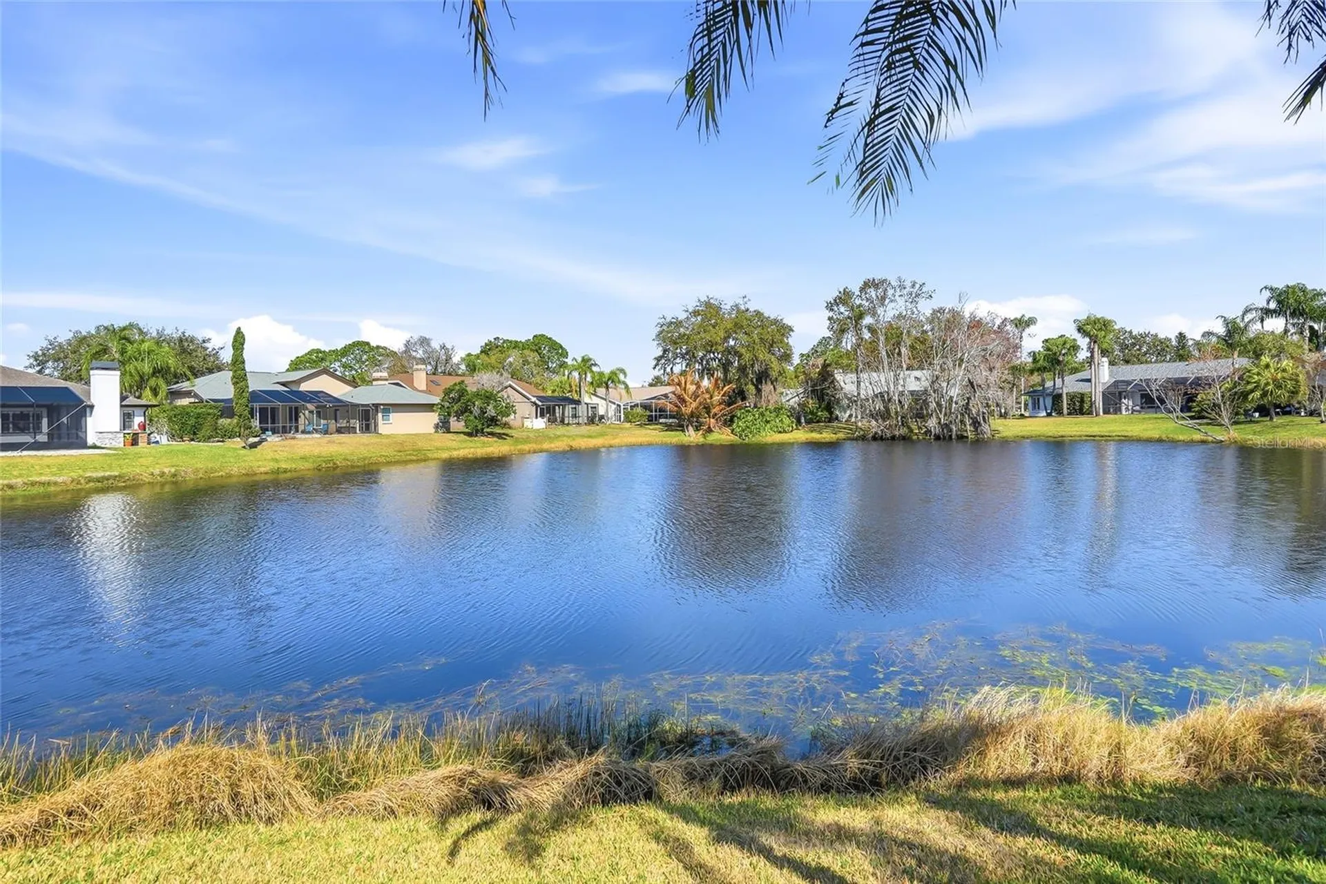 846 Centerwood Drive Tarpon Springs FL 34688