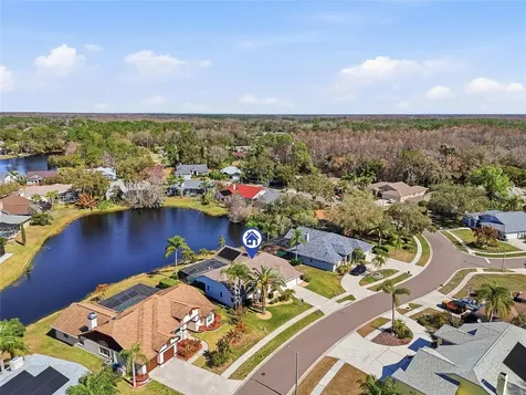 846 Centerwood Drive Tarpon Springs FL 34688