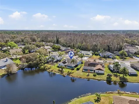 846 Centerwood Drive Tarpon Springs FL 34688