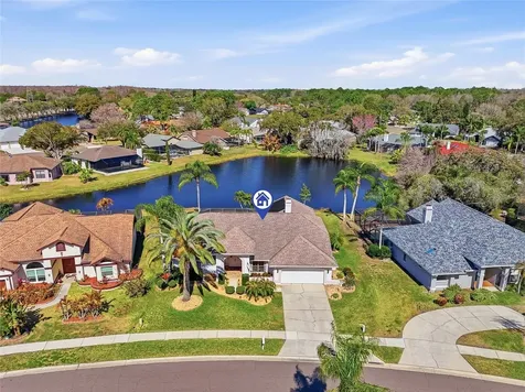 846 Centerwood Drive Tarpon Springs FL 34688