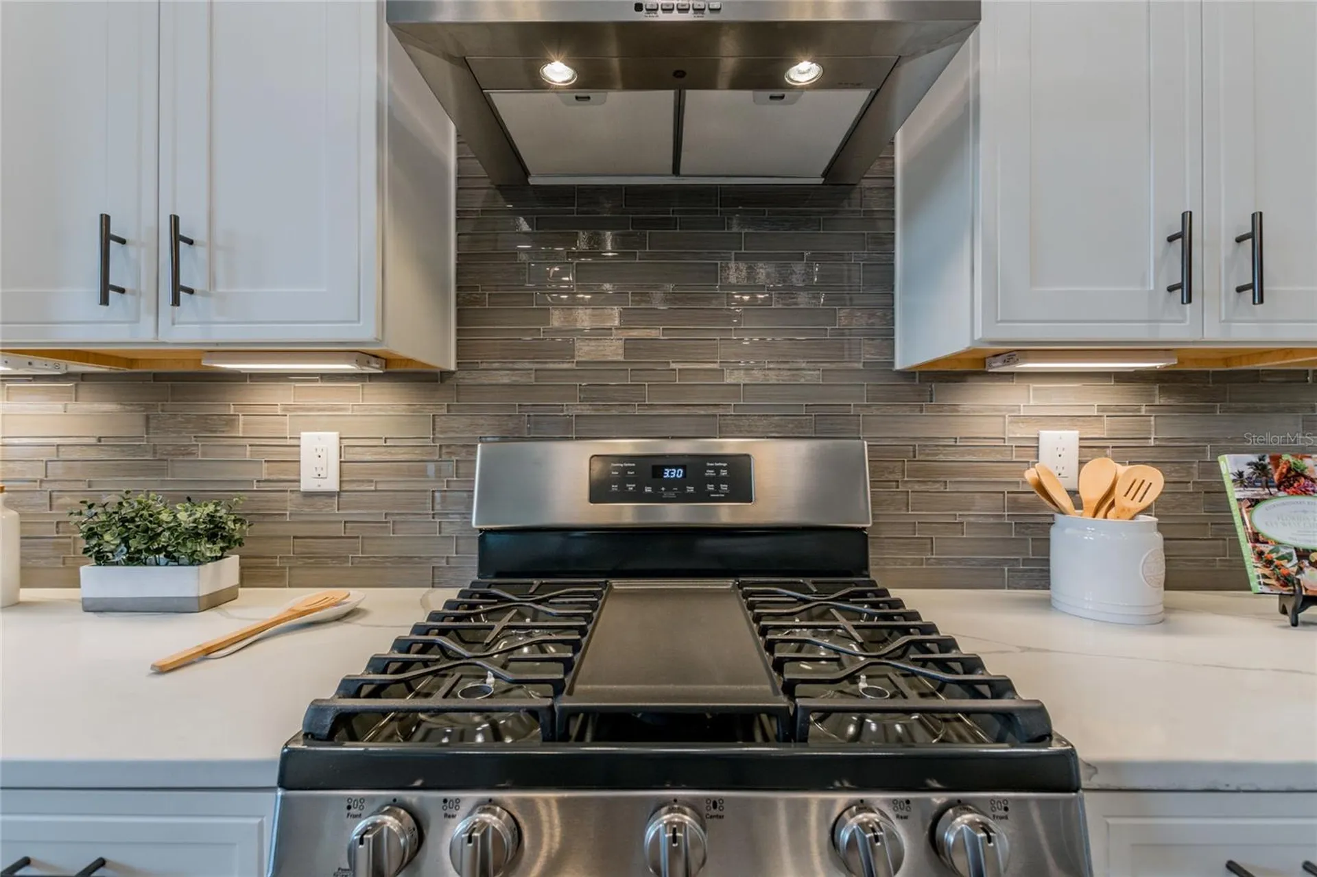 704 Estates Boulevard Tarpon Springs FL 34688