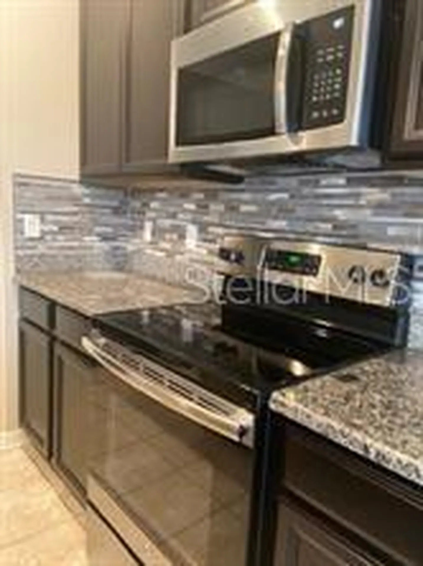 6984 Holly Heath Drive Riverview FL 33578