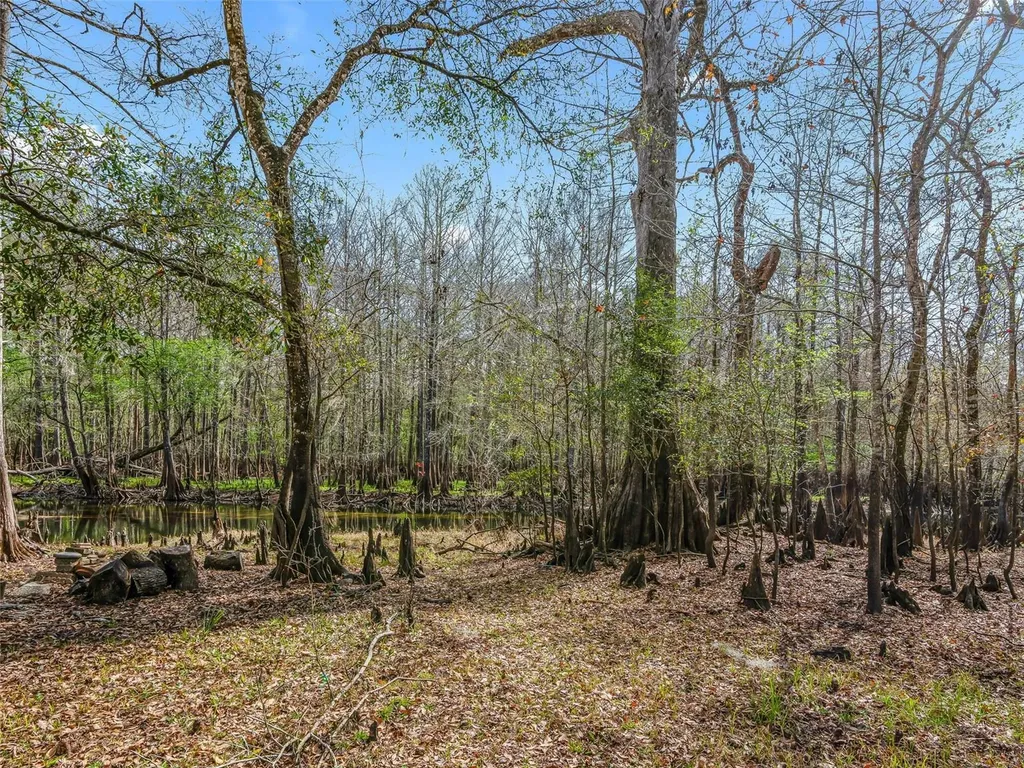 8935 Cr 647s Bushnell FL 33513