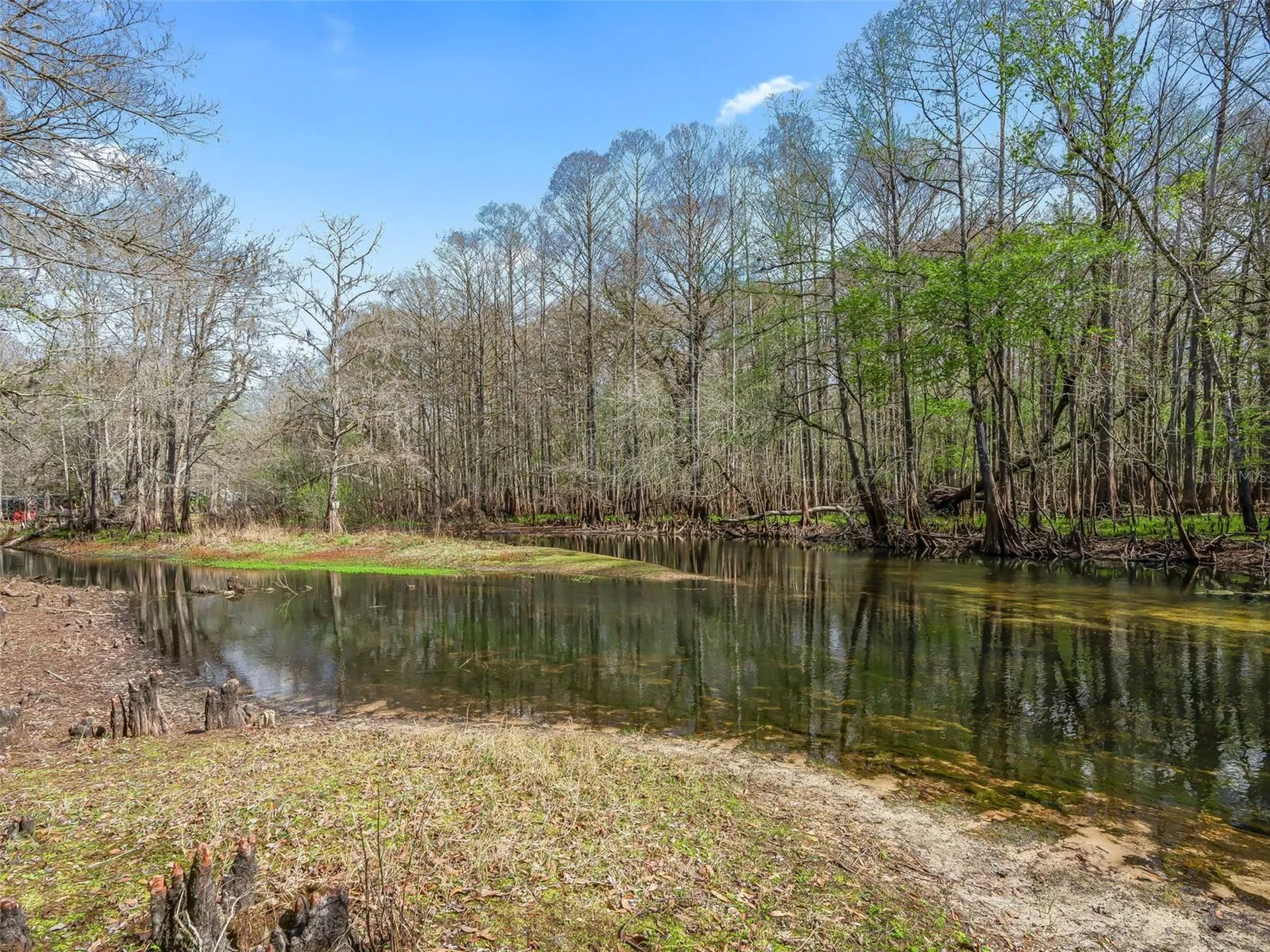 8935 Cr 647s Bushnell FL 33513