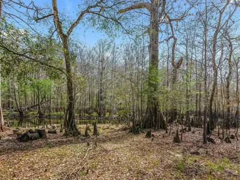 8935 Cr 647s Bushnell FL 33513