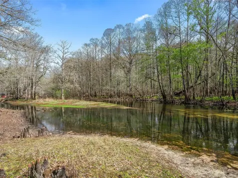 8935 Cr 647s Bushnell FL 33513
