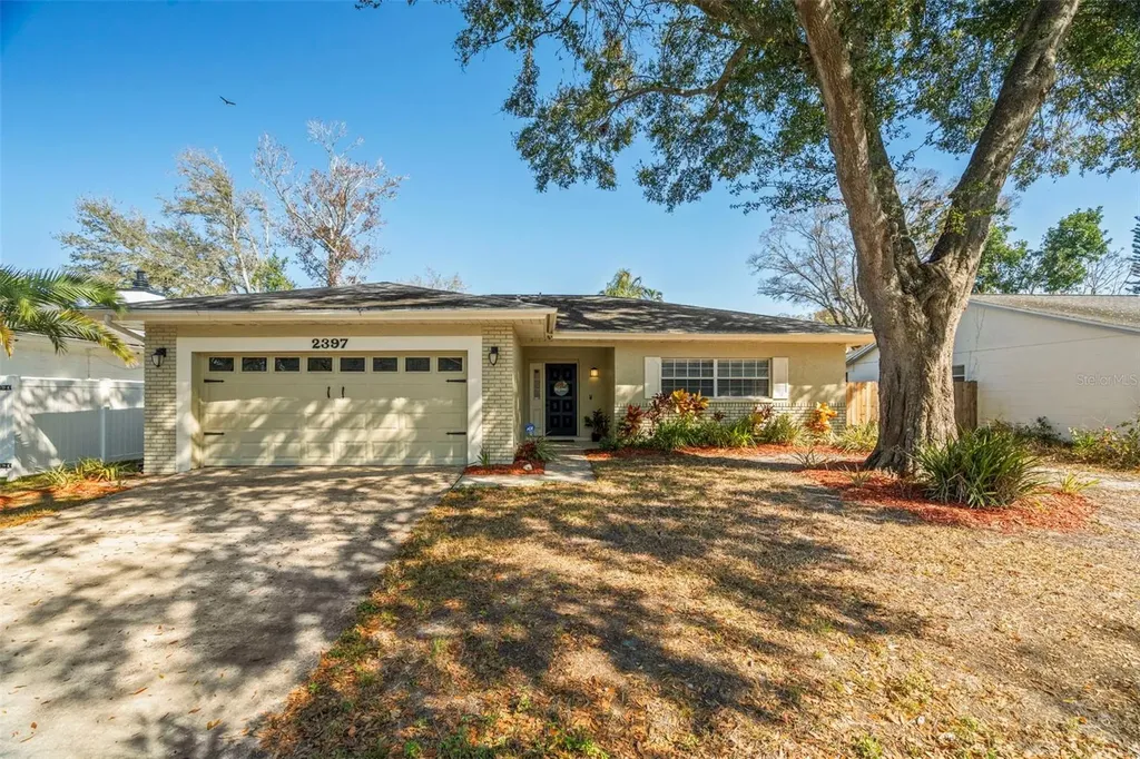 2397 E Orangehill Avenue Palm Harbor FL 34683