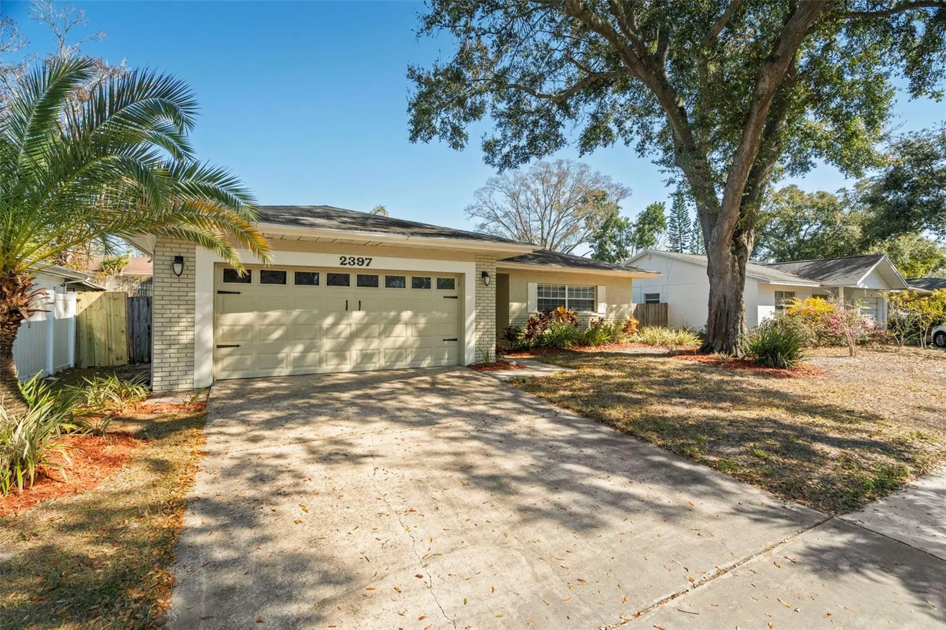 2397 E Orangehill Avenue Palm Harbor FL 34683