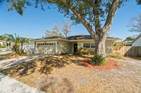 2397 E Orangehill Avenue Palm Harbor FL 34683