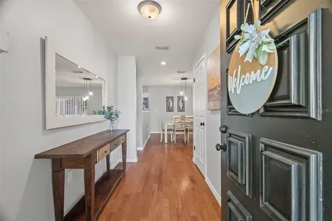 2397 E Orangehill Avenue Palm Harbor FL 34683